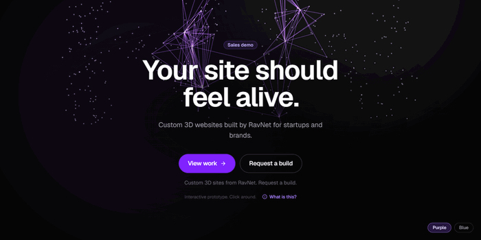 Custom 3D Website preview